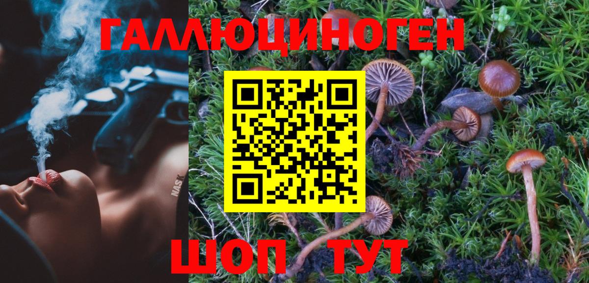 Галлюциногенные грибы GOLDEN TEACHER Кинель