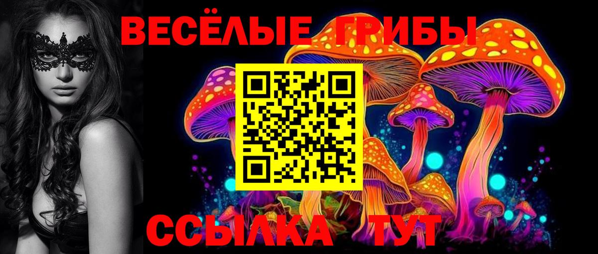 Галлюциногенные грибы Psilocybine cubensis  Вход с VPN  Кинель 