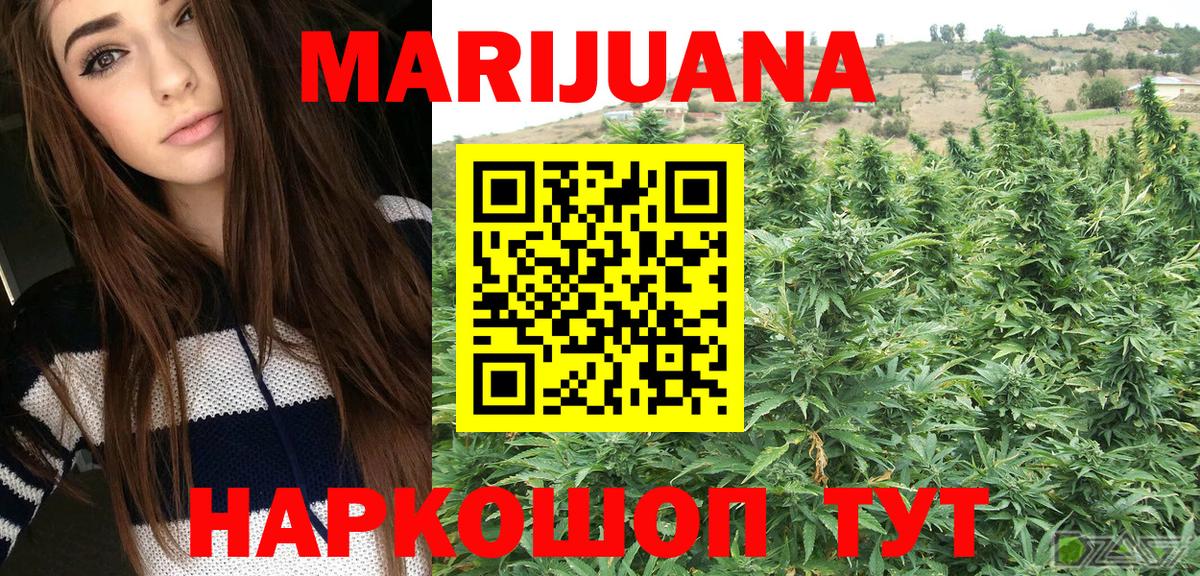 Кинель  Конопля планчик  Шишки марихуана ГИДРОПОН  Вход с VPN  Канабис Bruce Banner 